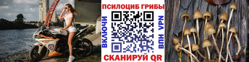 Галлюциногенные грибы ЛСД  Болхов 